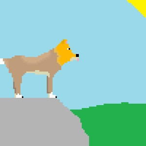 Dingo on a Rock